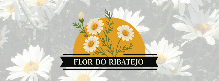 Foto da capa de Flor do Ribatejo | Restaurante Santarém